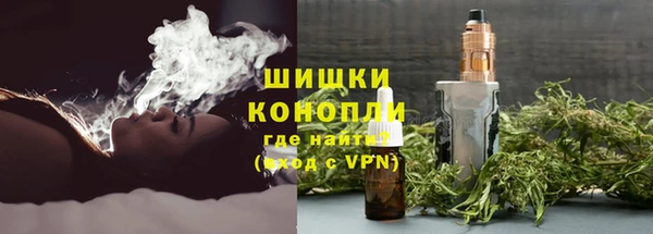 ГАЛЛЮЦИНОГЕННЫЕ ГРИБЫ Михайлов