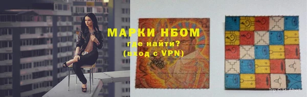шишки Михайловск