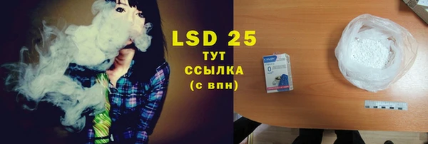 шишки Михайловск