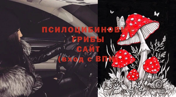 дживик Нефтекумск
