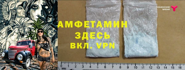 ГАЛЛЮЦИНОГЕННЫЕ ГРИБЫ Михайлов