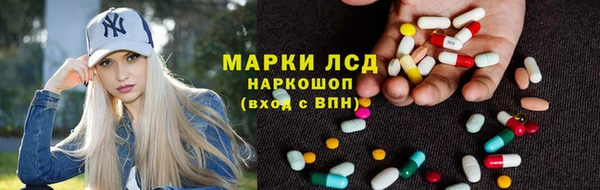 шишки Михайловск