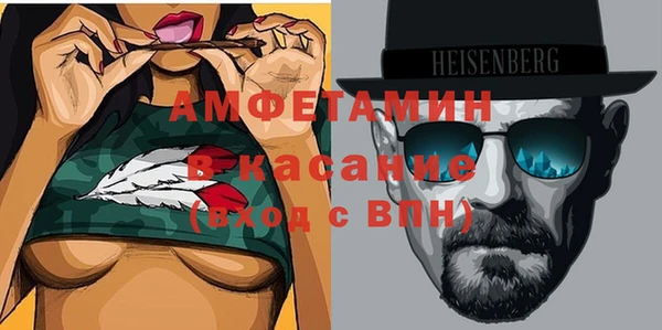 шишки Михайловск
