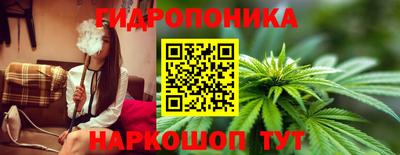 ешки Гусь-Хрустальный