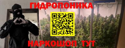 соль ск Гусев