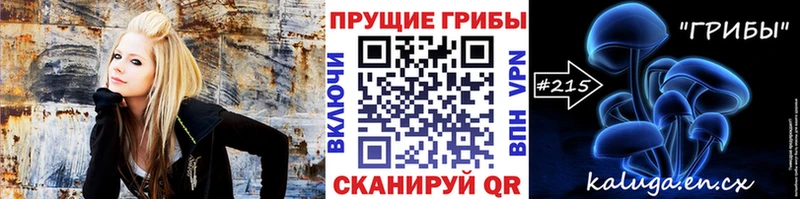 дарк нет состав Избербаш Галлюциногенные грибы Cubensis где купить наркотик гидра ссылки