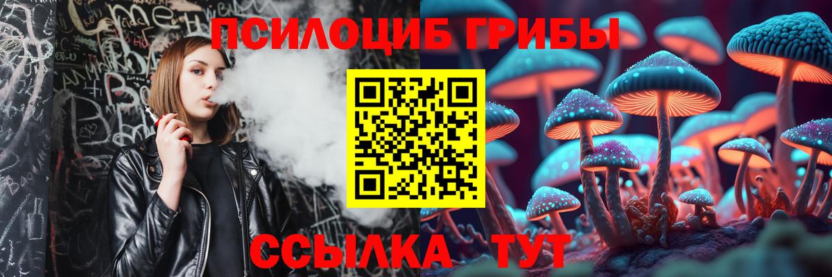 Псилоцибиновые грибы Psilocybe Избербаш
