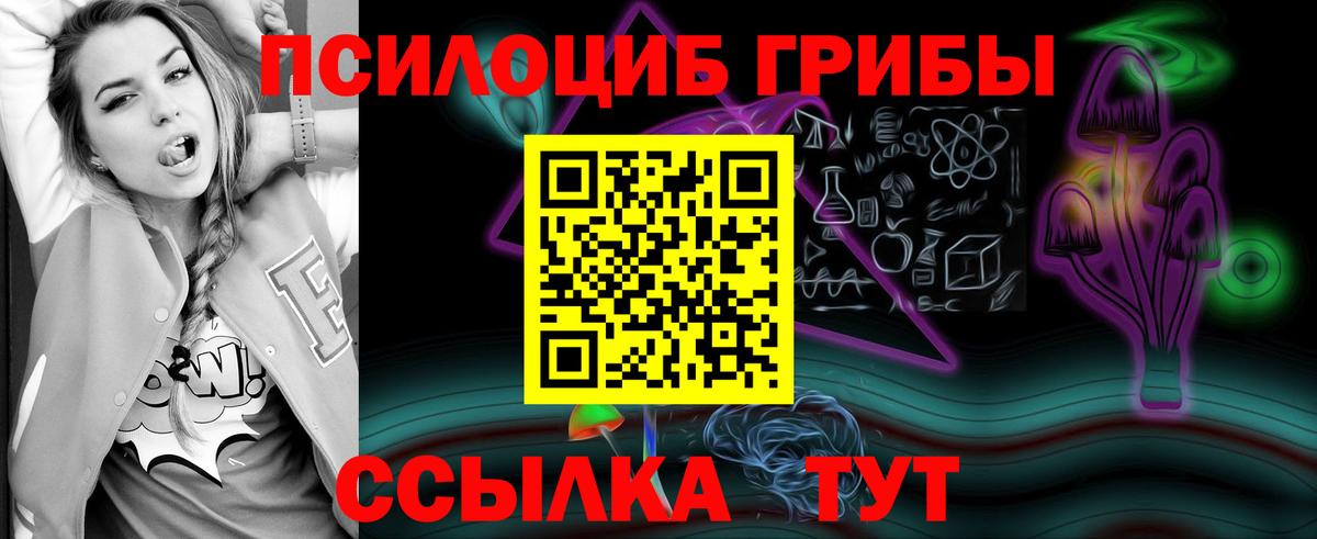 Псилоцибиновые грибы мицелий  Псилоцибиновые грибы ЛСД  купить   Избербаш  Вход с VPN 